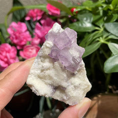 Grande (1,67 libbre) Purple Flash Labradorite Freeform (Articolo n. 1017)