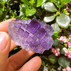 Grande (1,19 libbre) Purple Flash Labradorite Freeform (Articolo #0077)