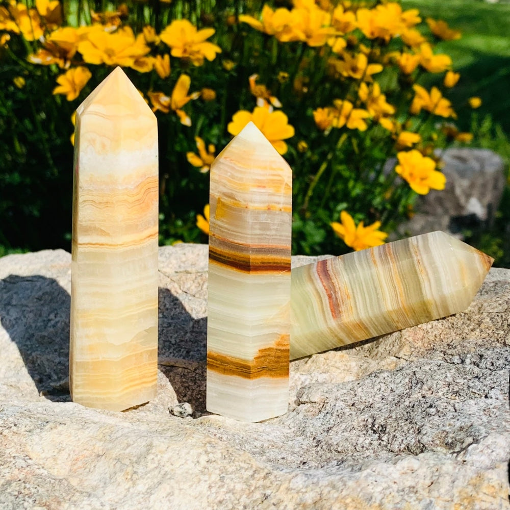 Afghanistan jade points with cream, honey and amber bands on a sunlit rock in front of yellow flowers
