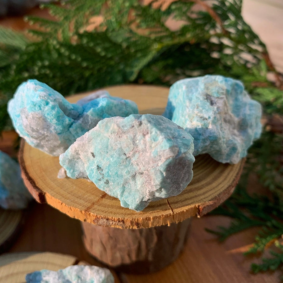 Several rough amazonite stones in shades of aqua and white on wooden stands