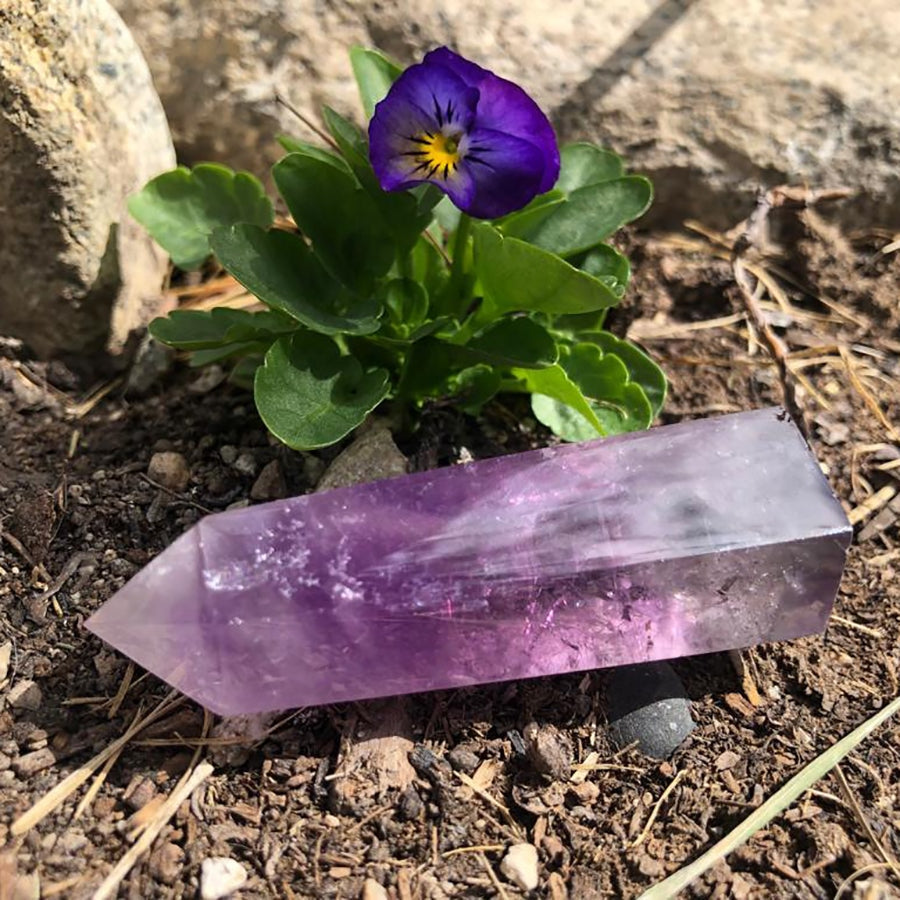A polished six-sided amethyst point lying in the sun beside a purple pansy