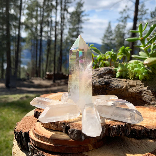 FREE GIVEAWAY! Angel Aura & Quartz Shards (8 Pieces) - (Just Pay Cost of Shipping)