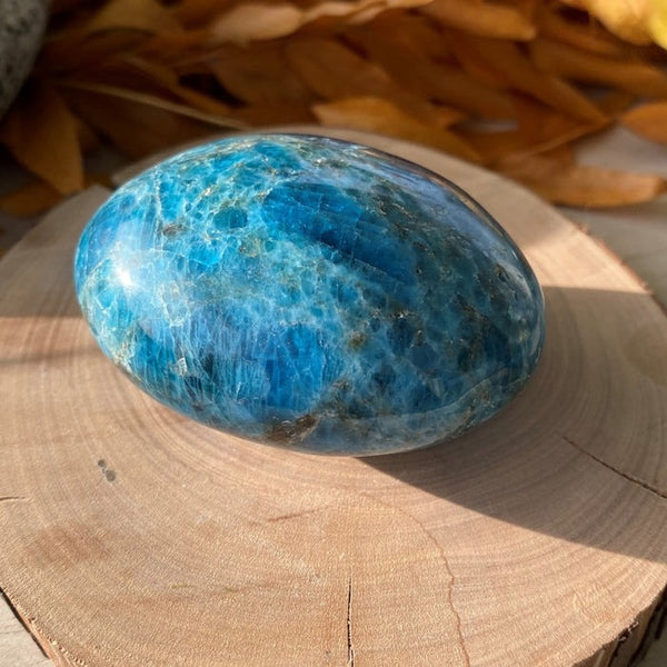 ÜCRETSİZ ÇEKİLİŞ! Apatit Palmstone - (Sadece Kargo Ücretini Ödeyin)