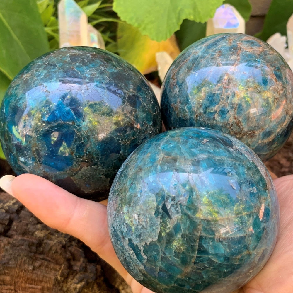 Three polished blue apatite spheres resting in one hand, each in its own mix of electric blue and blue-green