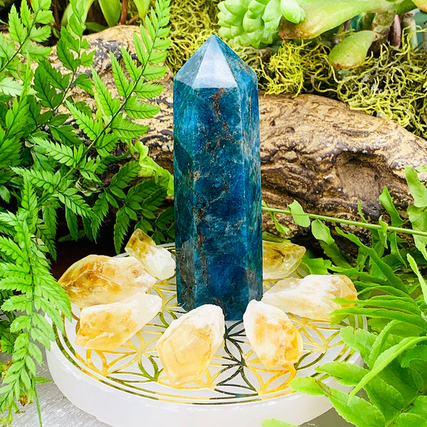 FREE GIVEAWAY! Apatite & Citrine Kit (9 Pieces) - (Just Pay Cost of Shipping)