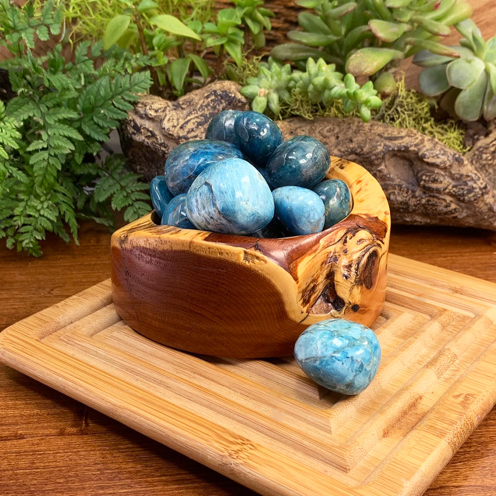 A carved wooden bowl of polished blue apatite tumbled stones beside ferns, with one stone resting in front