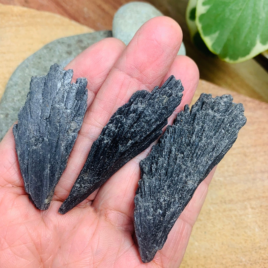 Three black kyanite fans resting across an open palm, each with its own spread of blades