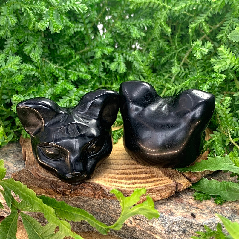 PRIZE WINNER! Black Protection Agate Third Eye Cat
