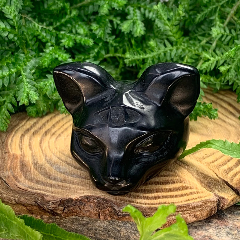 PRIZE WINNER! Black Protection Agate Third Eye Cat