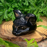 PRIZE WINNER! Black Protection Agate Third Eye Cat
