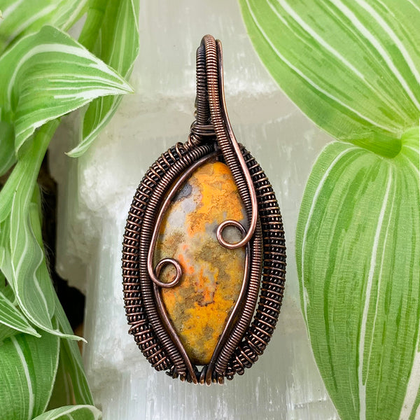 Bumblebee Jasper Copper Wire Pendant Necklace