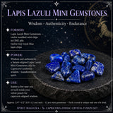 ♑ Capricorne - 22 décembre - 19 janvier - Ensemble Zodiac Crystal Fusion avec pochette