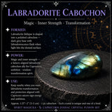 ♑ Capricorne - 22 décembre - 19 janvier - Ensemble Zodiac Crystal Fusion avec pochette