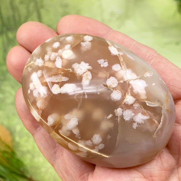 Fleur de cerisierBlossom Agate Palmstone