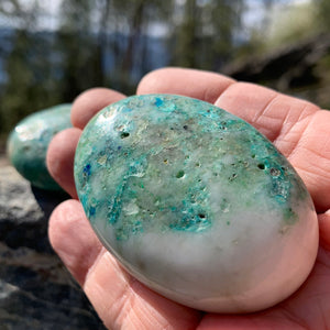 Chrysocolla palmestein