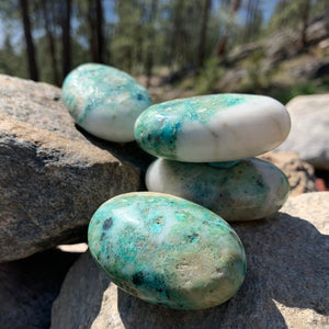 Chrysocolla palmestein