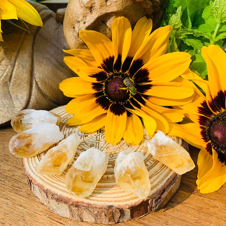 Raw citrine shards displayed on a wood slice beside bright yellow sunflowers