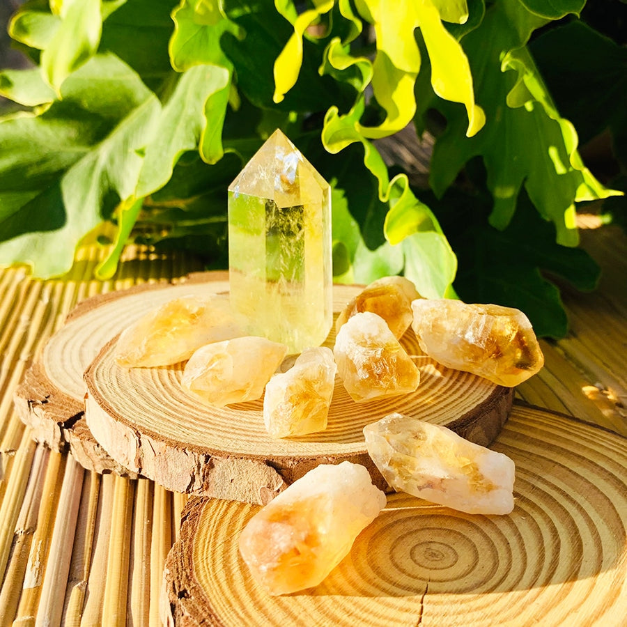 Citrine point standing on a wood slice in the sun with eight raw citrine shards around it