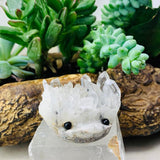 Crystal Quartz Hedgehog Pet (ADOPT ME PLEASE) 🥰