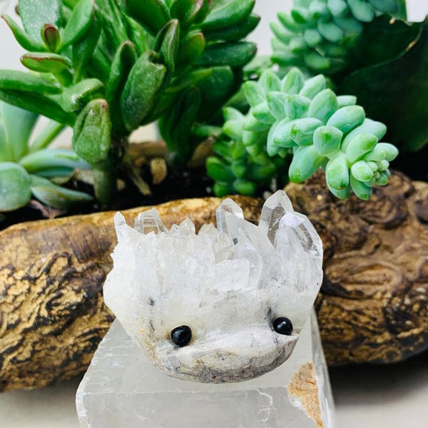 Crystal Hedgehogs