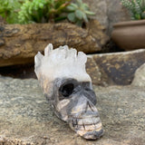 Cráneo de fragmento de cristal