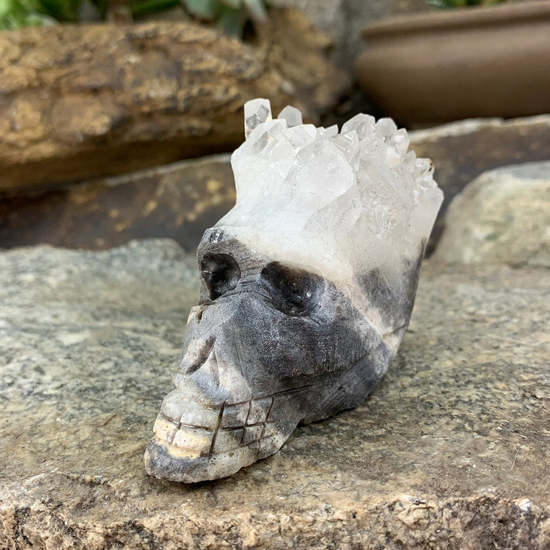 Cráneo de fragmento de cristal