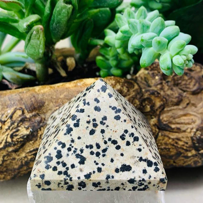 Dalmatian Jasper Pyramid - Medium - pyramids