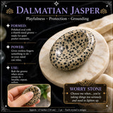 Dalmatiner Jasper Sorgenstein