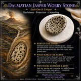 Dalmatiner Jasper Sorgenstein