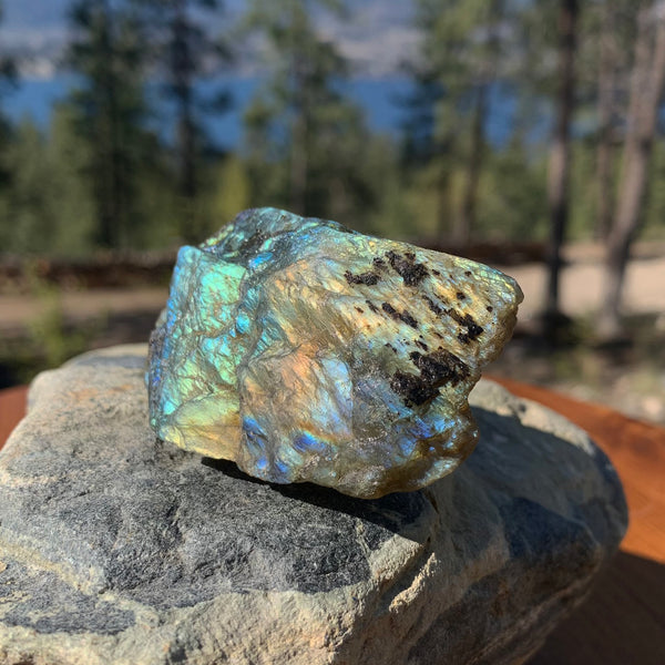 FREE GIVEAWAY!  Flashy Labradorite Natural Stone - (Just Pay Cost of Shipping)