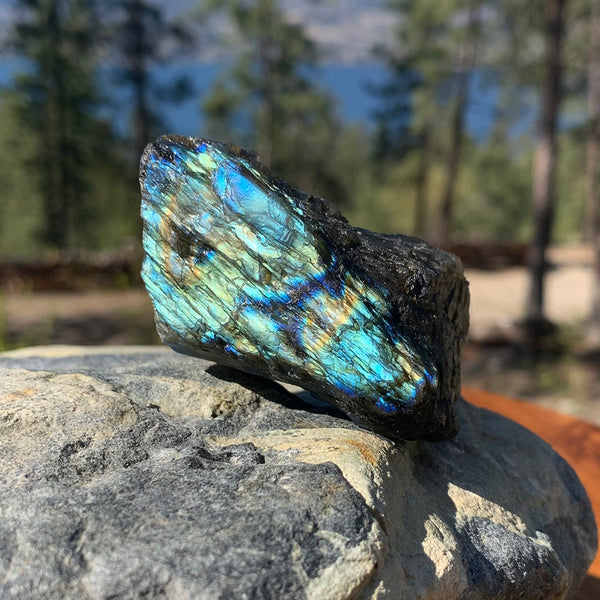 Pierre naturelle labradorite flashy