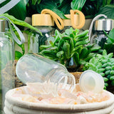WWW - PRICING - Flower Agate Gem Pod Crystal Water Bottle - water