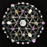 Over 300 Crystal Seed Of Life Abundance Gridding Set - collection