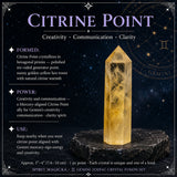 ♊ Gemini - 21. mai - 20. juni - Zodiac Crystal Fusion-sett med veske