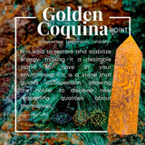 Golden Coquina Jasper Point - wand