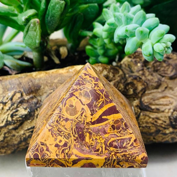 Golden Coquina Jasper Pyramid - Medium – Spirit Magicka
