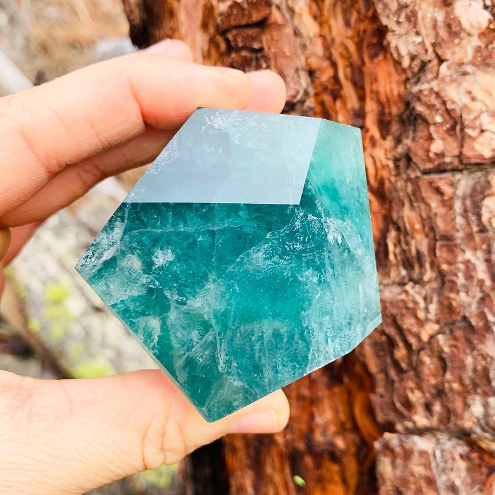 A hand holding a teal green fluorite chunk against tree bark, showing its size