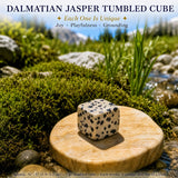 Cubo caído de jaspe dálmata