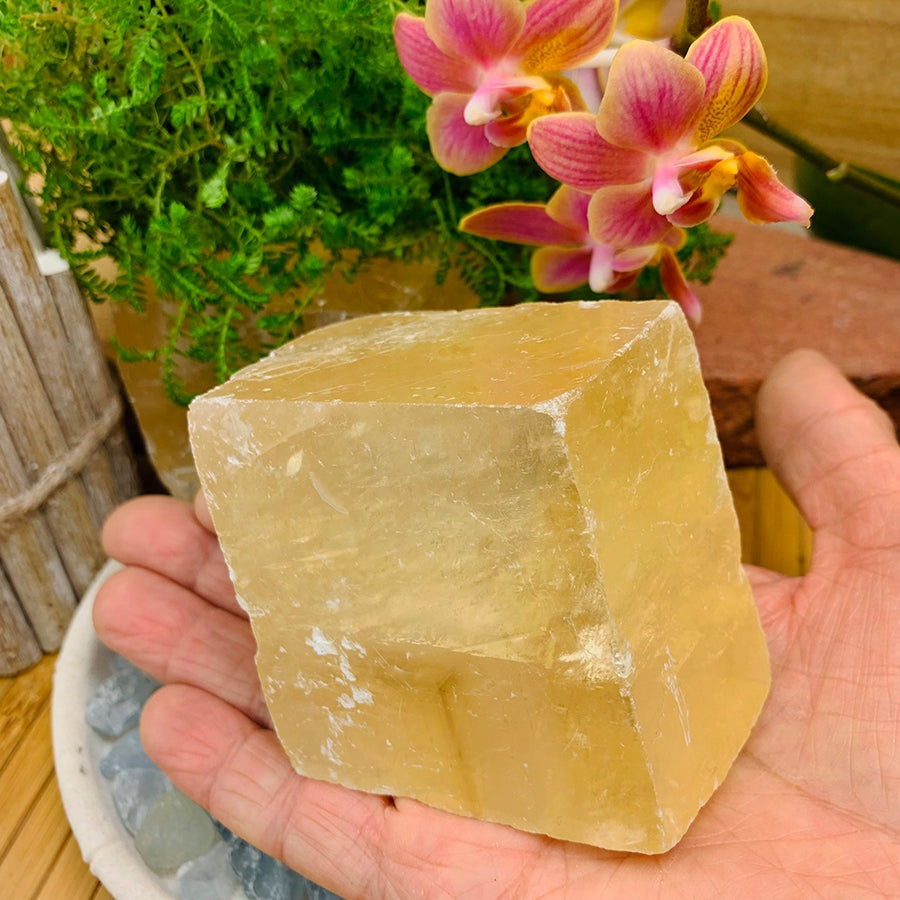A translucent golden honey calcite chunk resting in an open palm beside orchids and ferns
