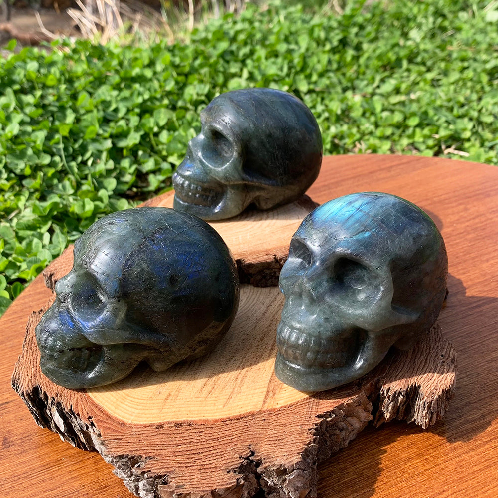 Three labradorite skulls on wooden slices, each with a different amount of blue flash
