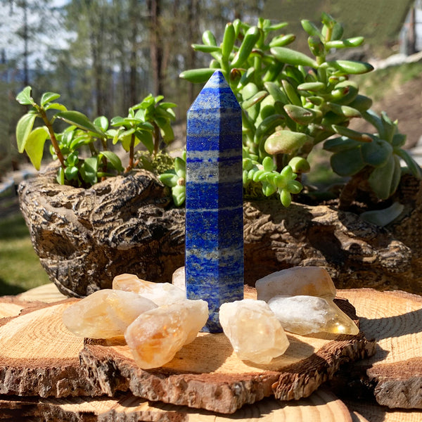 8 Parça Lapis Lazuli + Sitrin Parçası Seti