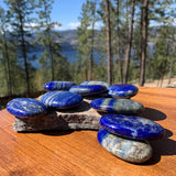 Lapis Lazuli Palmsteen
