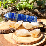 OMAGGIO GRATUITO! Frammenti di lapislazzuli e citrino naturale (8 pezzi) - (paga solo il costo della spedizione)