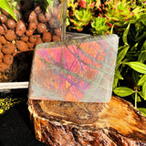 Large (1.41 lbs.) Purple Flash Labradorite Freeform (Item #0101)