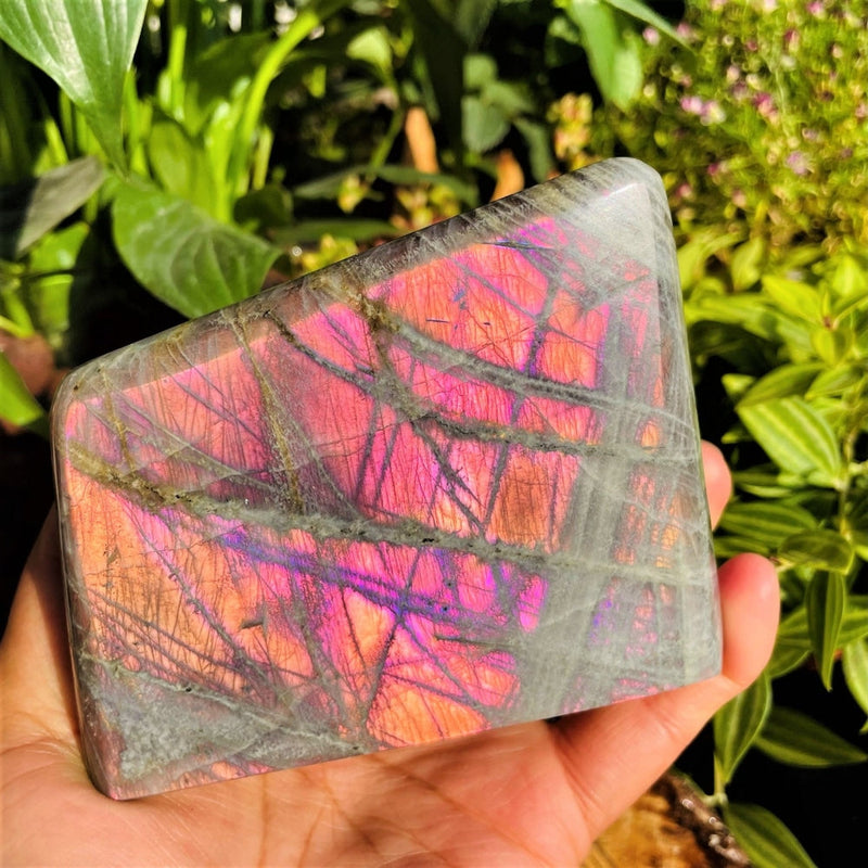 Large (1.41 lbs.) Purple Flash Labradorite Freeform (Item #0101)