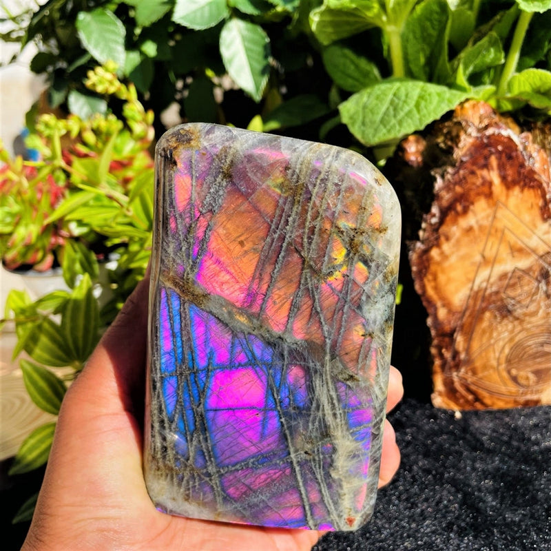 Large (1.48 lbs.) Purple Flash Labradorite Freeform (Item #1020)
