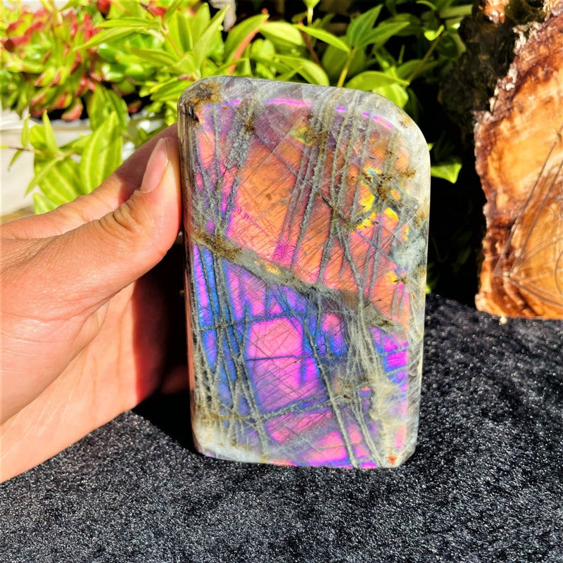 Large (1.48 lbs.) Purple Flash Labradorite Freeform (Item #1020)