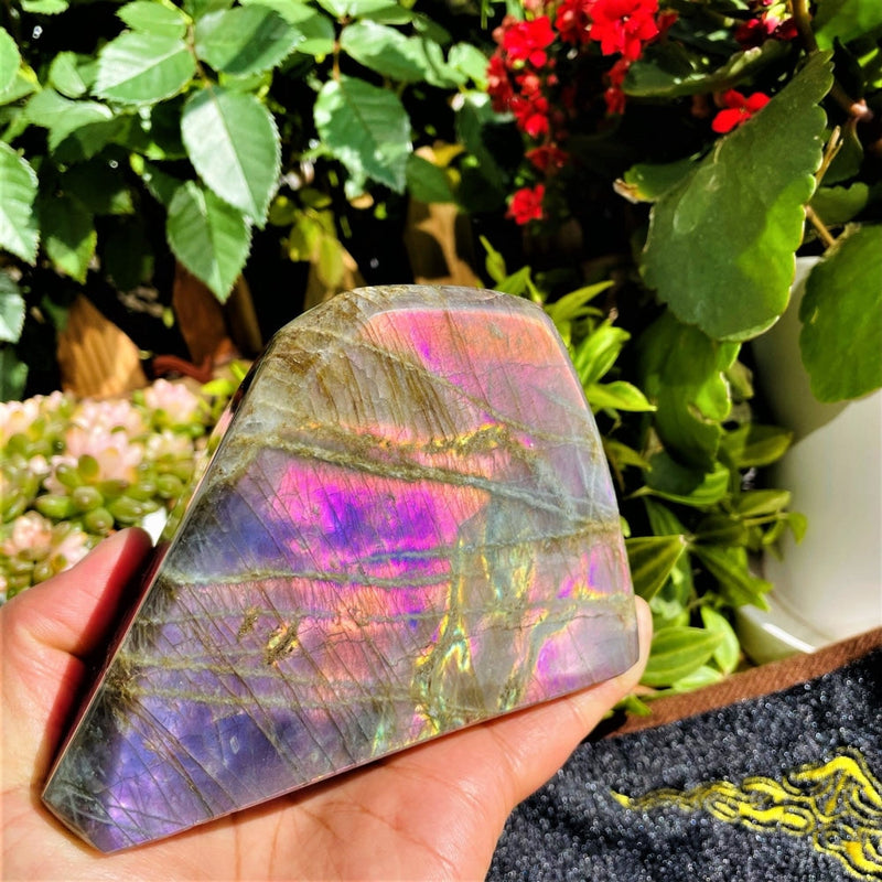 Large (1.63 lbs.) Purple Flash Labradorite Freeform (Item #0103)