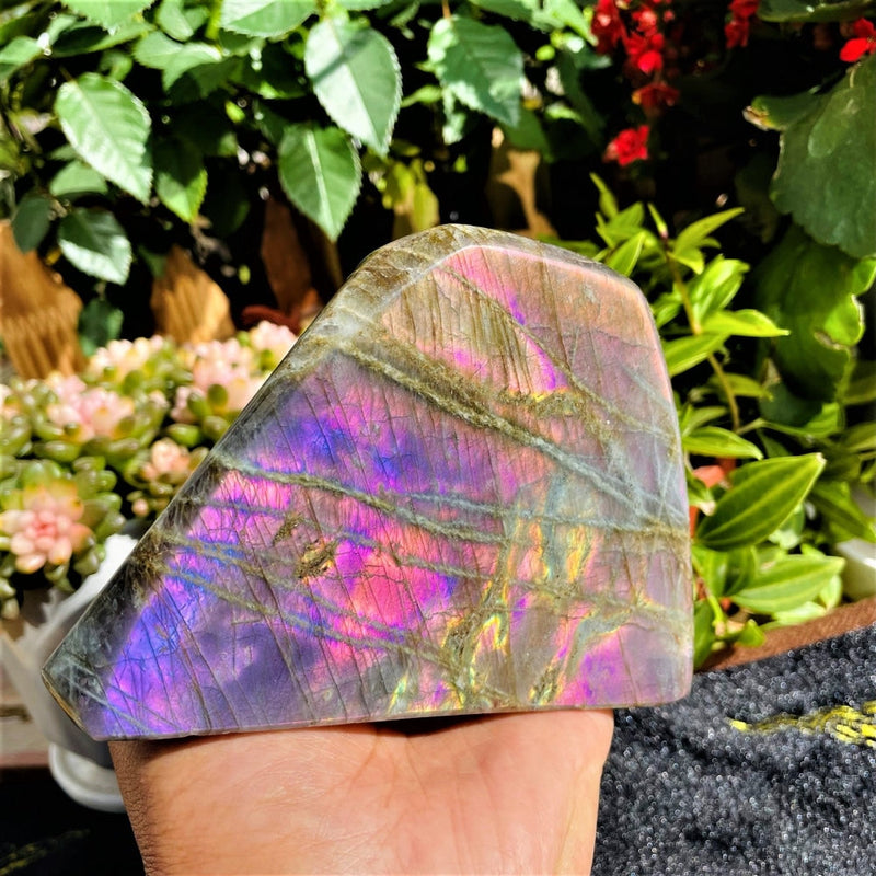 Large (1.63 lbs.) Purple Flash Labradorite Freeform (Item #0103)