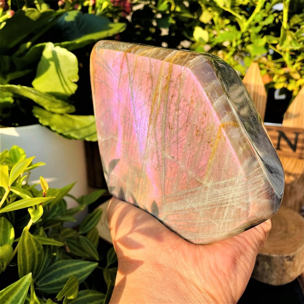A large polished labradorite freeform held on an open palm, its broad face flashing pink and purple with fine golden streaks